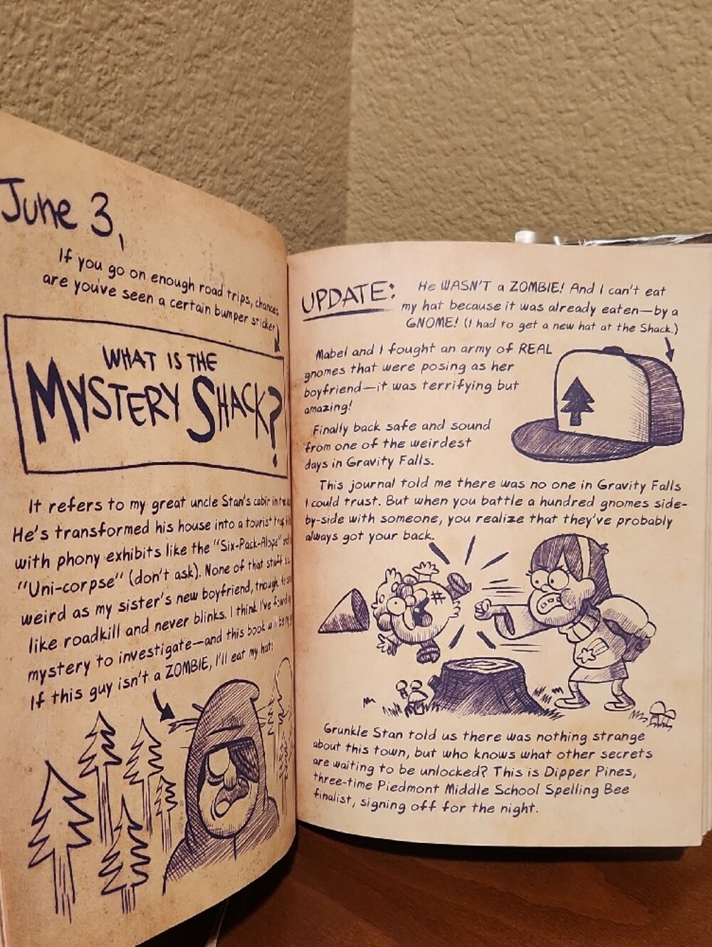 Gravity Falls Books: Journal 3 & Dipper's Guide to Mystery - Picture 10 of 11